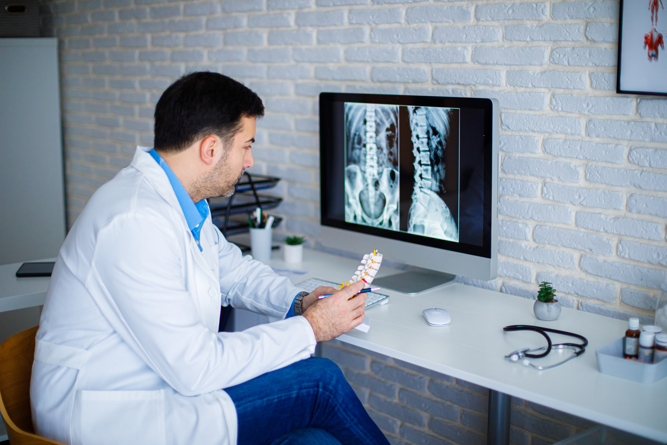 Orthopedic doctor working with X ray image on computer, while holding model human spine Orthopedic doctor working with X ray image on computer, while holding model human spine