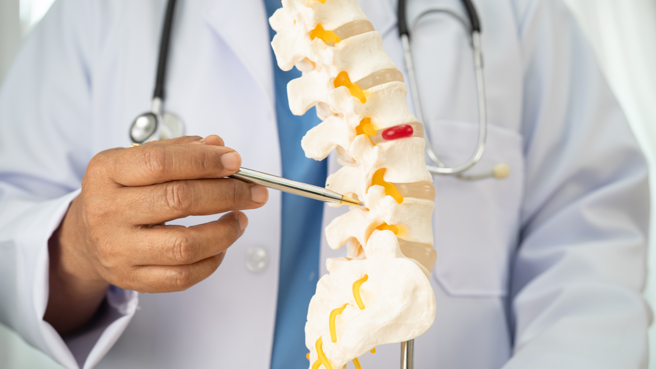 understanding spondylothesis