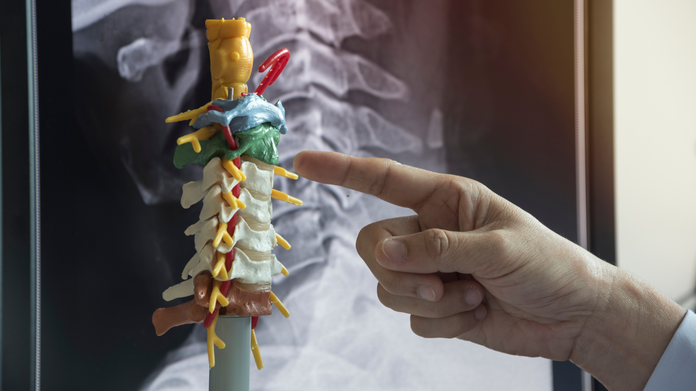 spine tumors and lesions